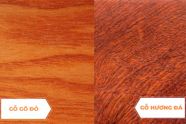 So sánh gỗ gõ đỏ và gỗ hương đá về độ bền của chất gỗ 