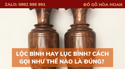 Lộc bình hay lục bình