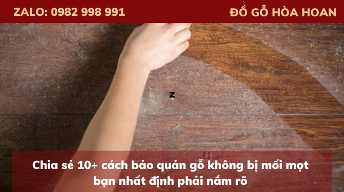 Chia sẻ 10+ cách bảo quản gỗ không bị mối mọt bạn nhất định phải nắm rõ