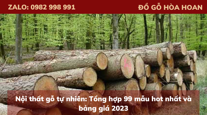 Nội thất gỗ tự nhiên: Tổng hợp 99 mẫu hot nhất và bảng giá 2023