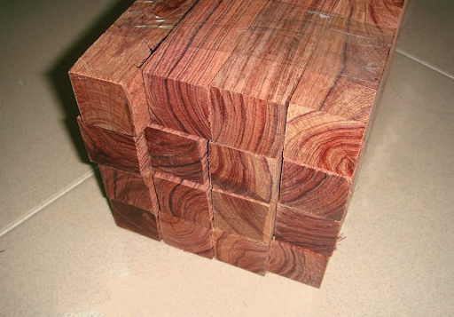Kiểm tra thường xuyên bề mặt gỗ để phát hiện sự xuất hiện của mối mọt