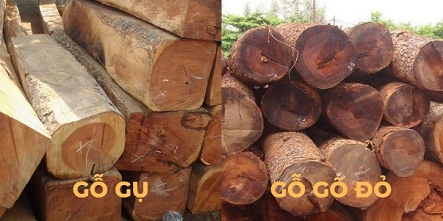 So sánh về độ bền của gỗ gõ đỏ và gỗ gụ