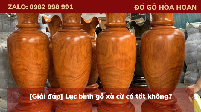 [Giải đáp] Lục bình gỗ xà cừ có tốt không?