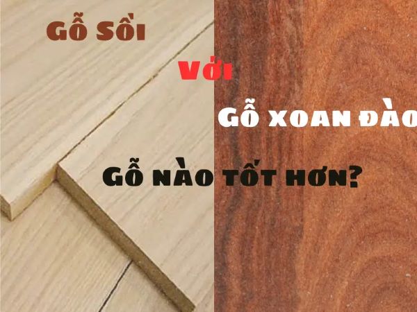 Gỗ xoan và gỗ sồi gỗ nào tốt hơn