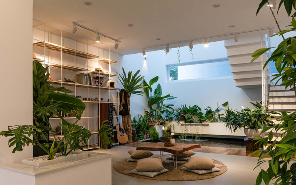 Thiết kế xanh lấy cảm hứng từ thiên nhiên