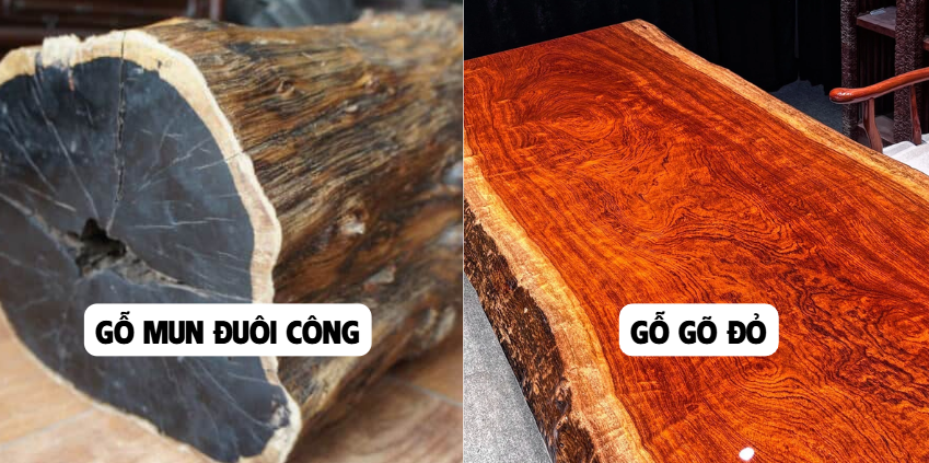 So sánh sự khác biệt về độ bền