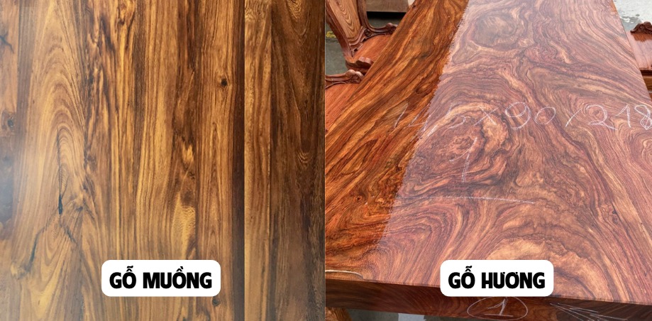 Khi nào nên chọn làm nội thất từ gỗ muồng?
