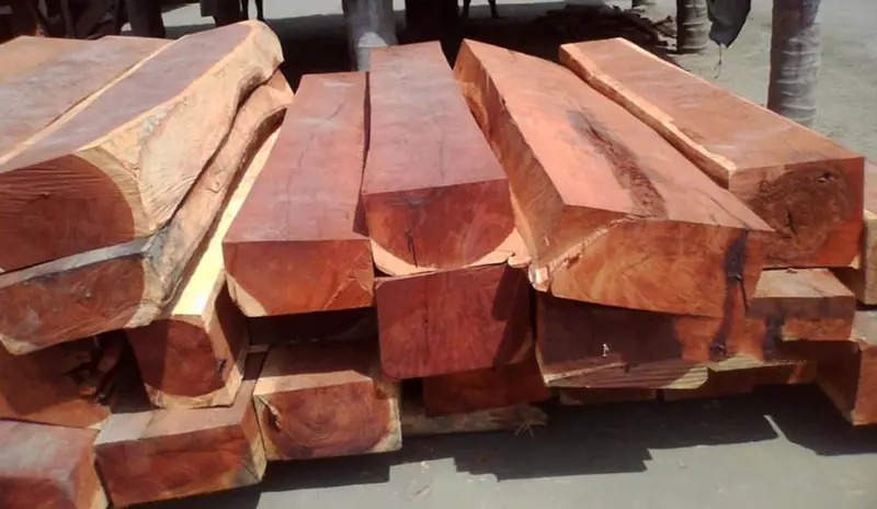 Gỗ hương Lào là gỗ gì?
