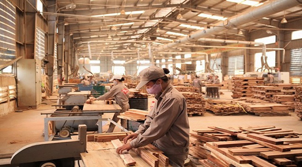 Xưởng sản xuất trực tiếp, tối ưu chi phí