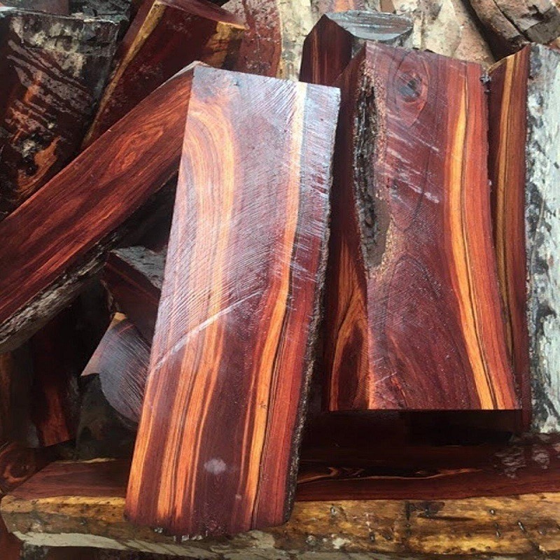 Gỗ cẩm lai (tên khoa học: Dalbergia oliveri)